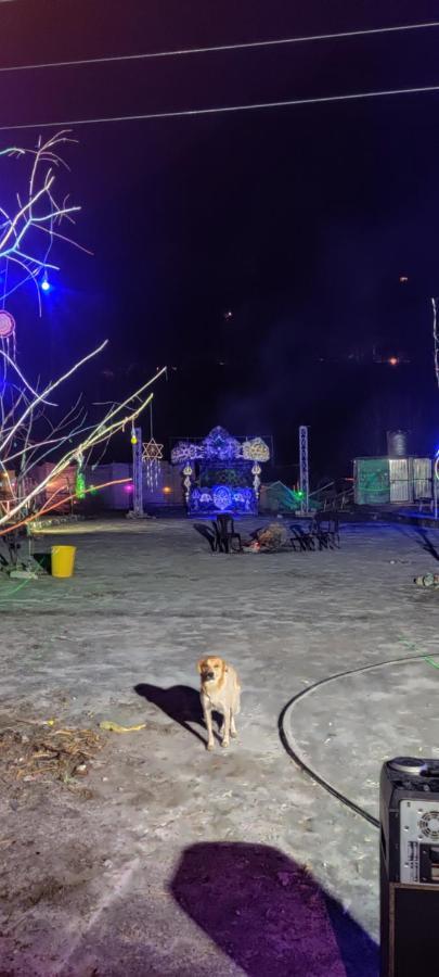 Stayhigh Camps & Cottages Kasol Exterior photo